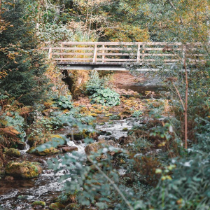 lorem-ipsum-has-been-1-1-1